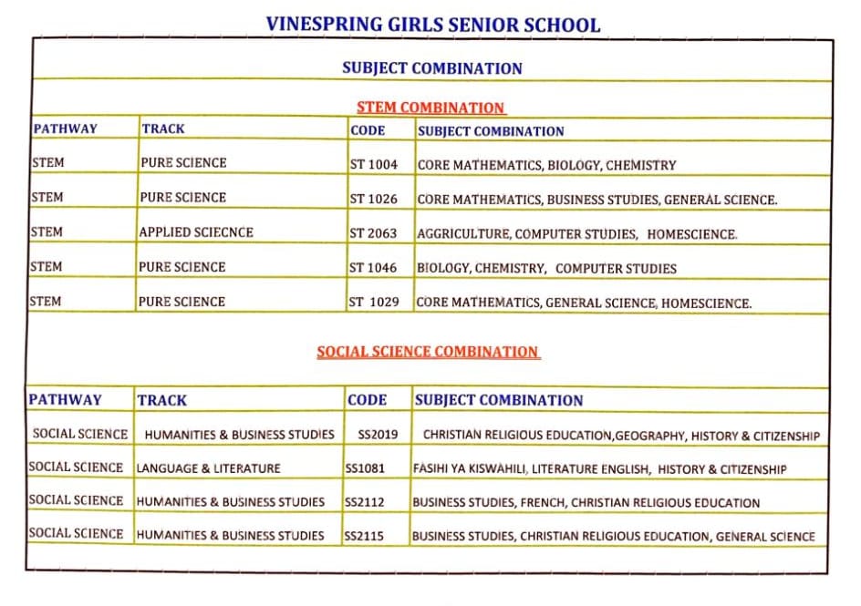 STEM AND SOCIAL SCIENCE PATHWAYS AND SUBJECT COMBINATIONS